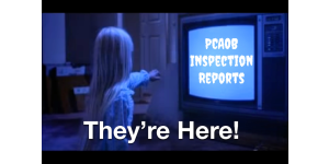 They’re Here! 2022 PCAOB Inspection Reports: 5 Key Takeaways