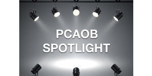 Performing a Quality Audit: PCAOB Spotlight