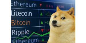 Crypto-assets: “Doge” the FASB plan to do anything about them?!?