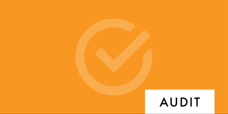 Audit Update (2025)